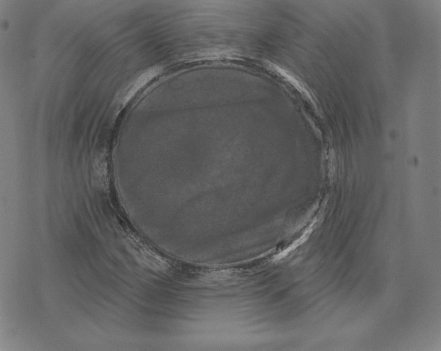 X0000074011162200609111616