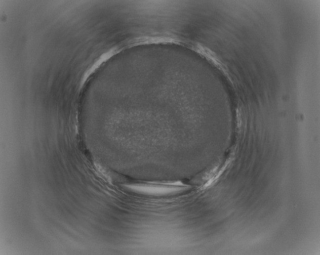 X0000074011165200609111616