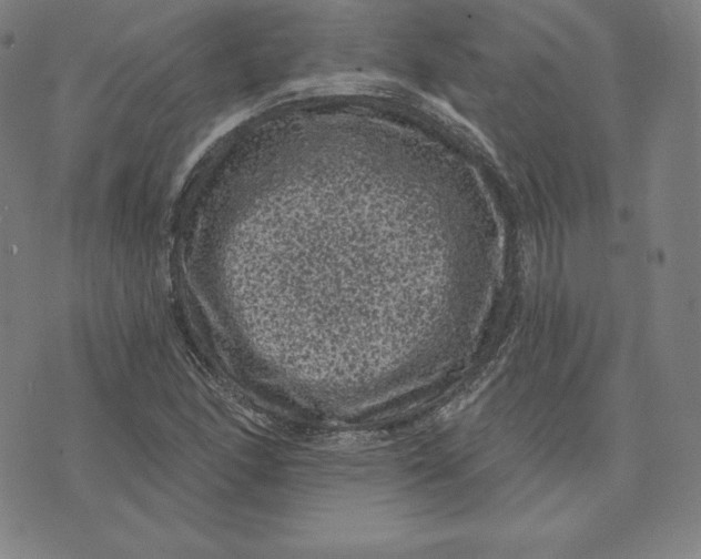 X0000074011166200609111616