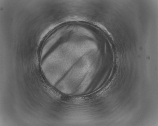 X0000074011167200609111616