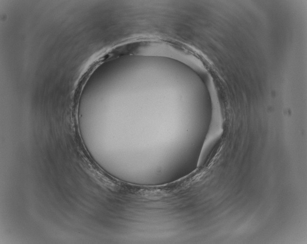 X0000074011168200609111616