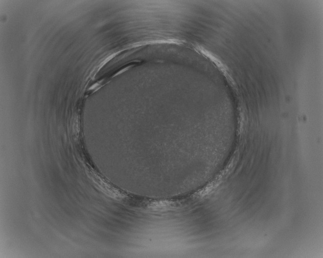 X0000074011169200609111616