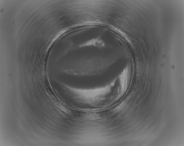 X0000074011170200609111616