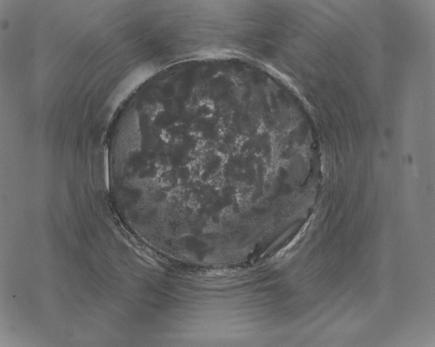 X0000074011171200609111616