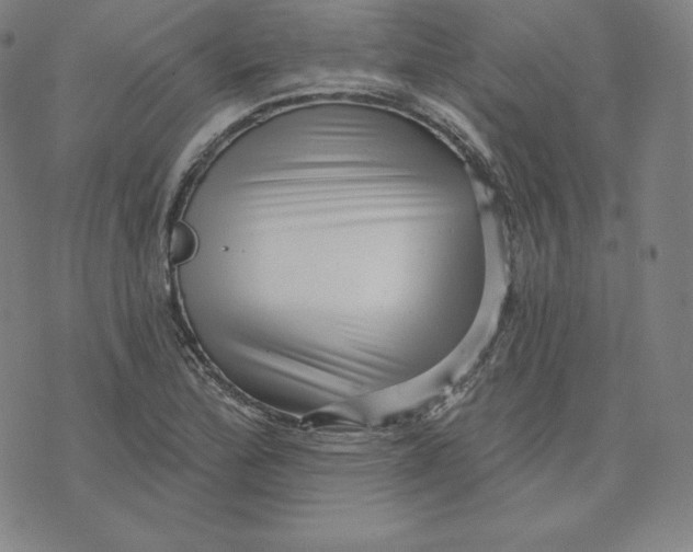 X0000074011172200609111616