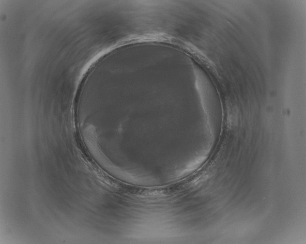 X0000074011174200609111616