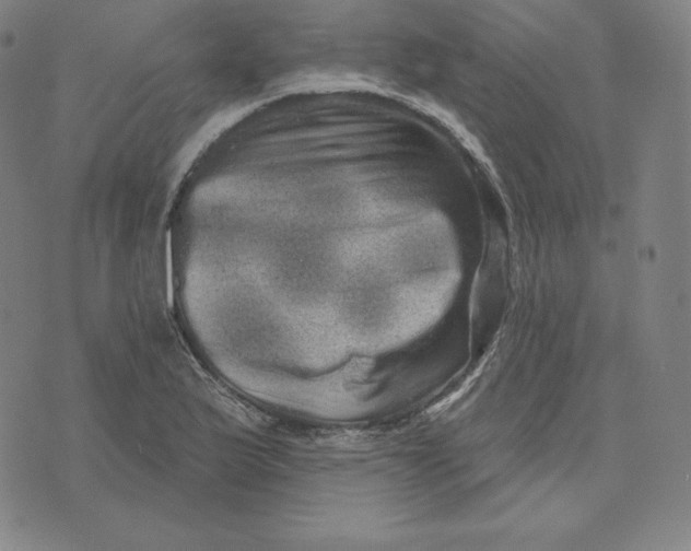 X0000074011175200609111616