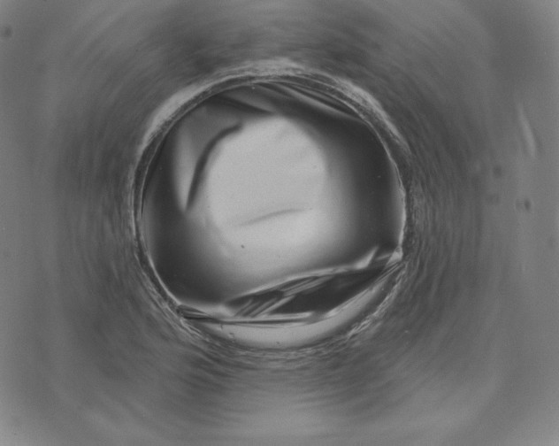 X0000074011176200609111616