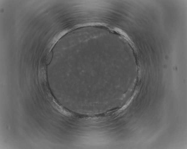 X0000074011177200609111616