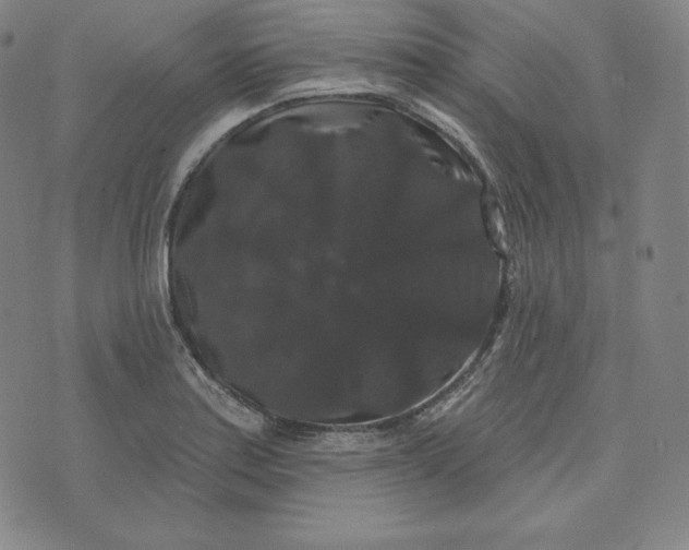 X0000074011179200609111616