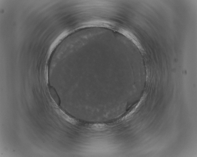 X0000074011180200609111616