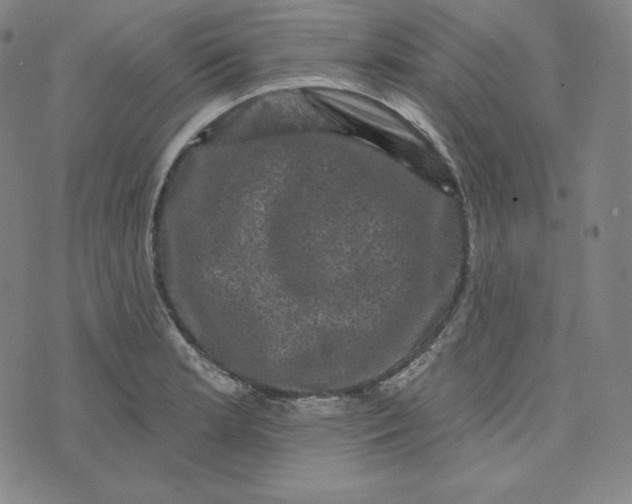 X0000074011181200609111616