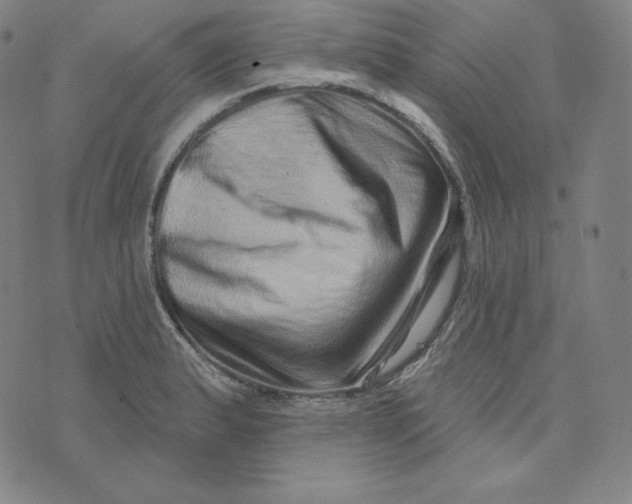 X0000074011183200609111616