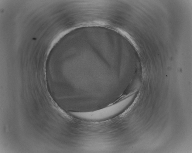 X0000074011184200609111616