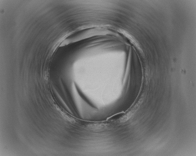 X0000074011185200609111616