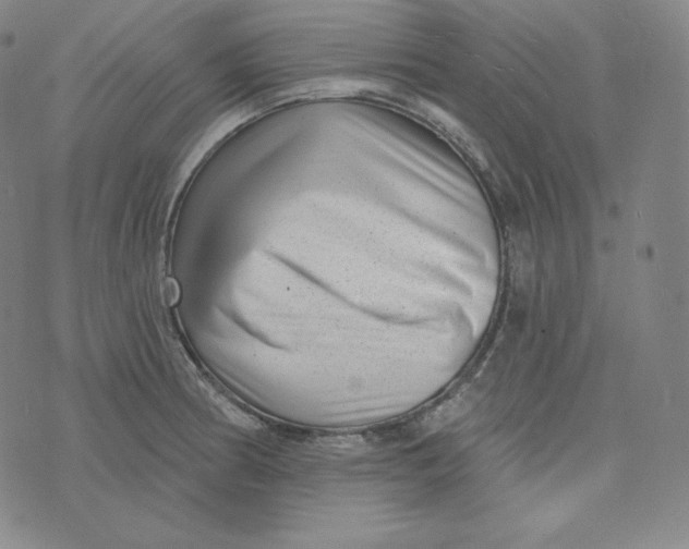 X0000074011186200609111616