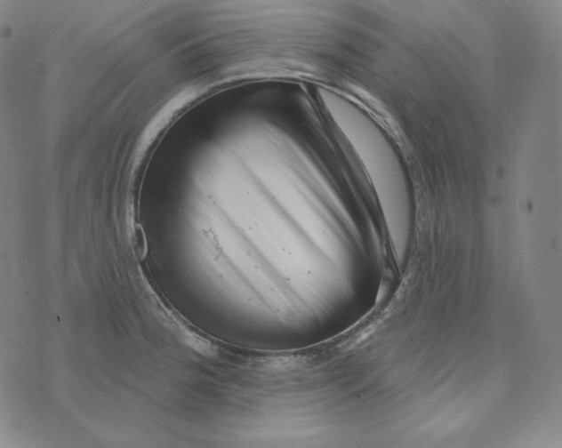 X0000074011188200609111616