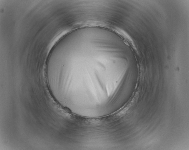 X0000074011190200609111616