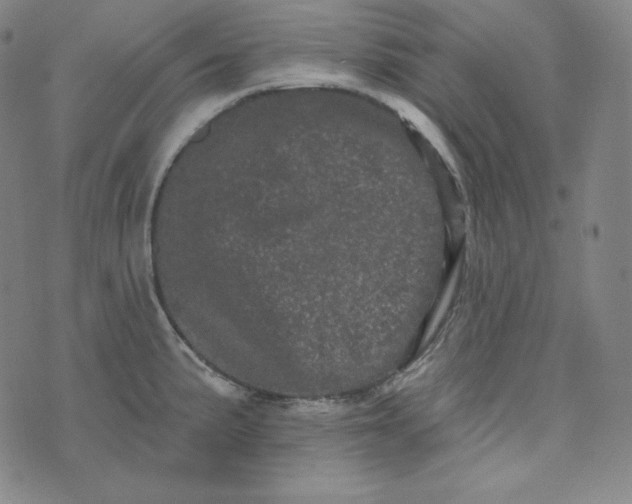 X0000074011191200609111616