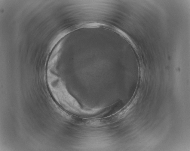 X0000074011194200609111616