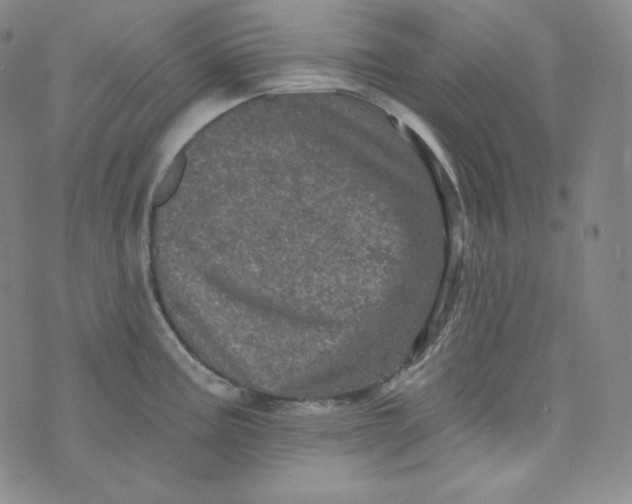 X0000074011195200609111616