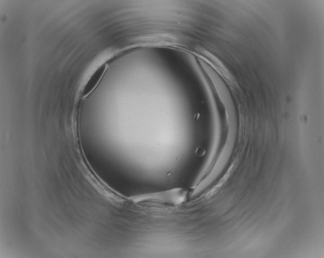 X0000074011196200609111616