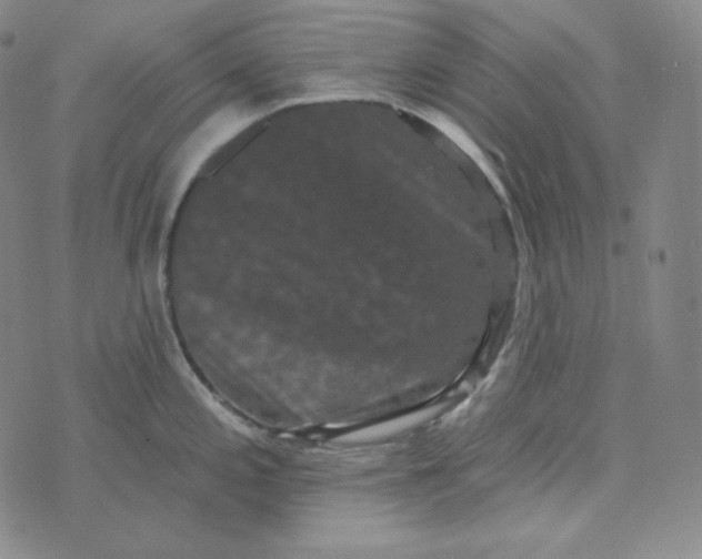 X0000074011197200609111616