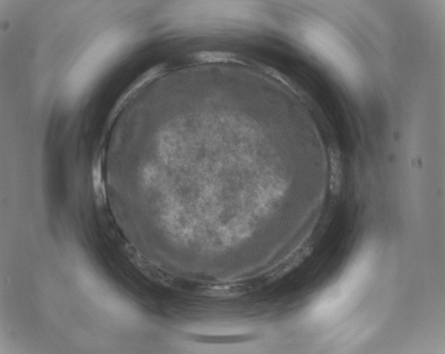 X0000074011198200609111616