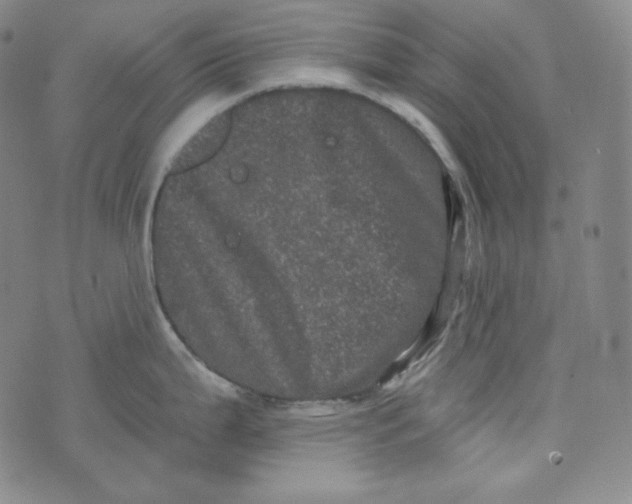 X0000074011199200609111616