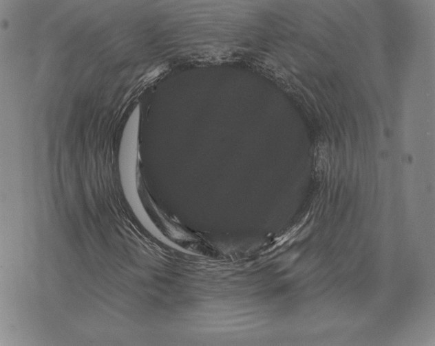 X0000074011202200609111615