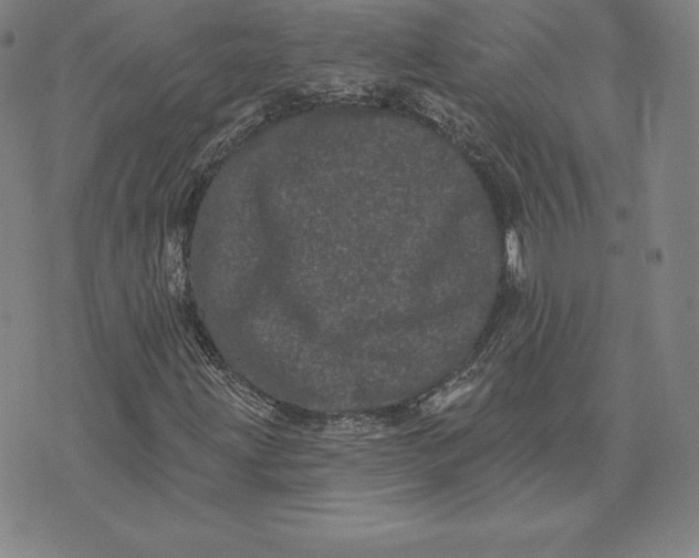 X0000074011203200609111615