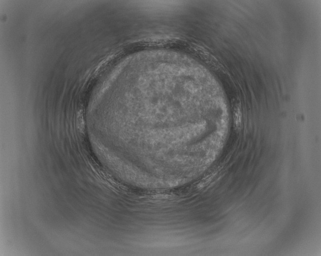 X0000074011204200609111615