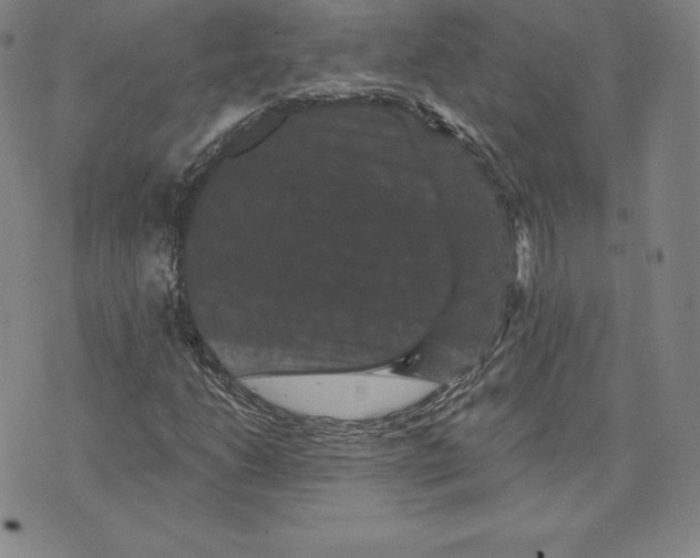 X0000074011206200609111615