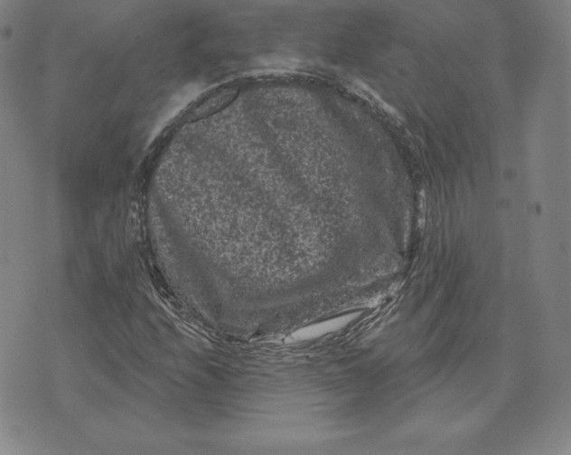 X0000074011208200609111615