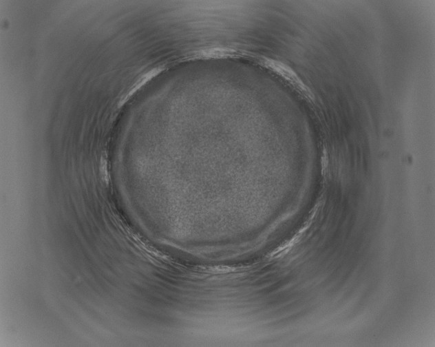 X0000074011209200609111615