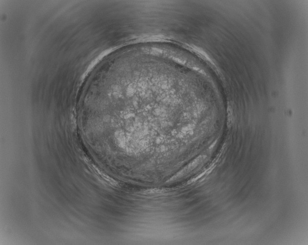 X0000074011212200609111615