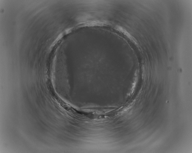 X0000074011213200609111615