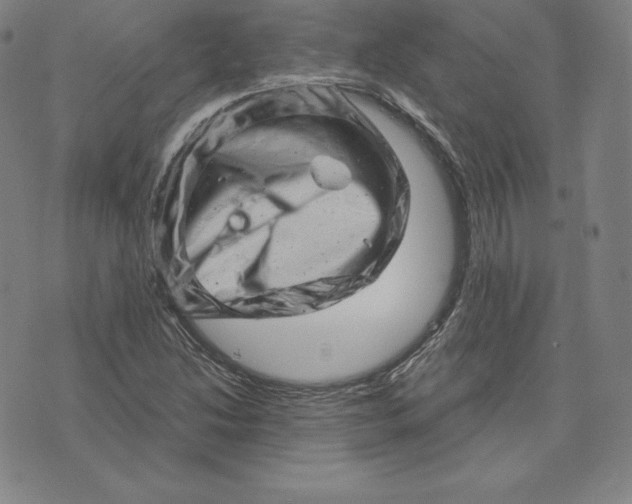 X0000074011214200609111615