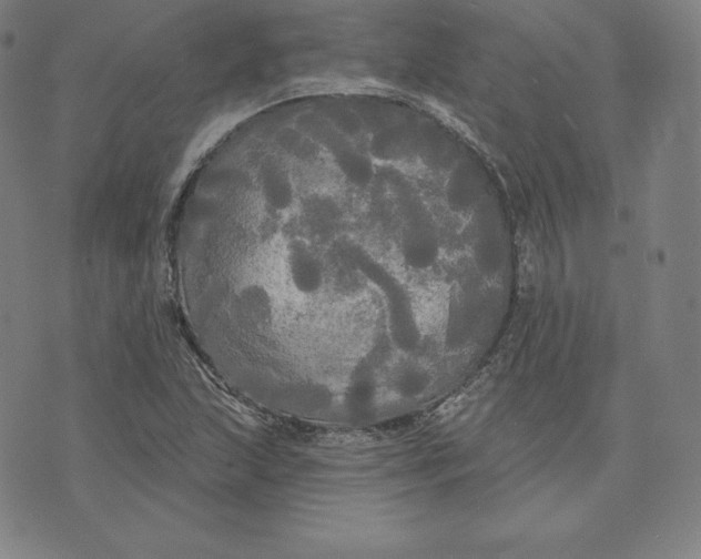 X0000074011215200609111615