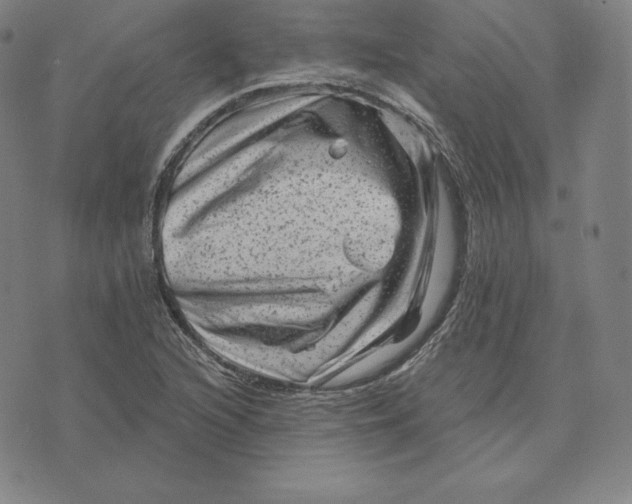 X0000074011216200609111615