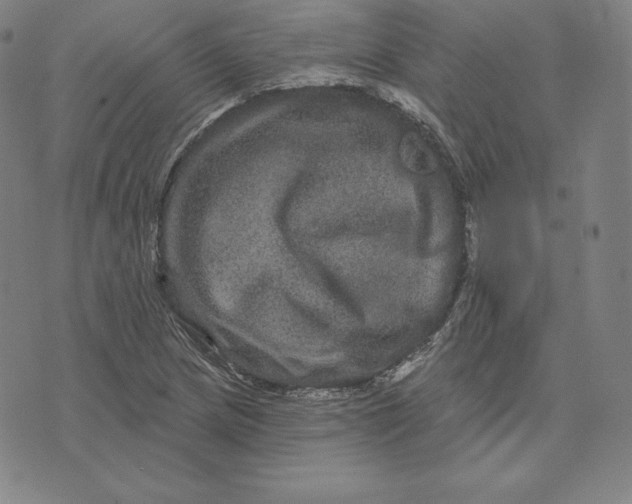 X0000074011217200609111615