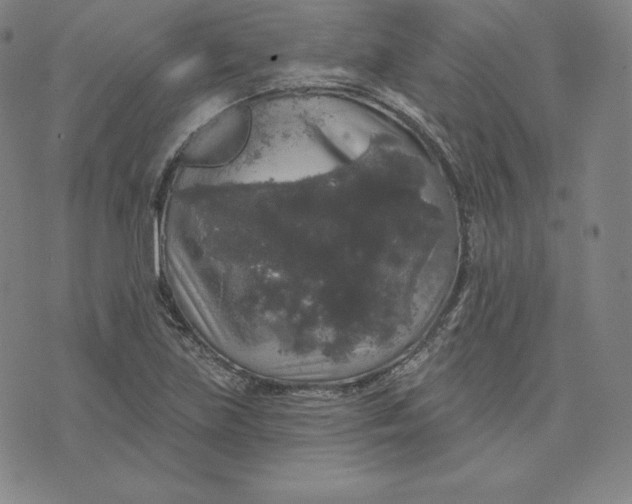 X0000074011219200609111615