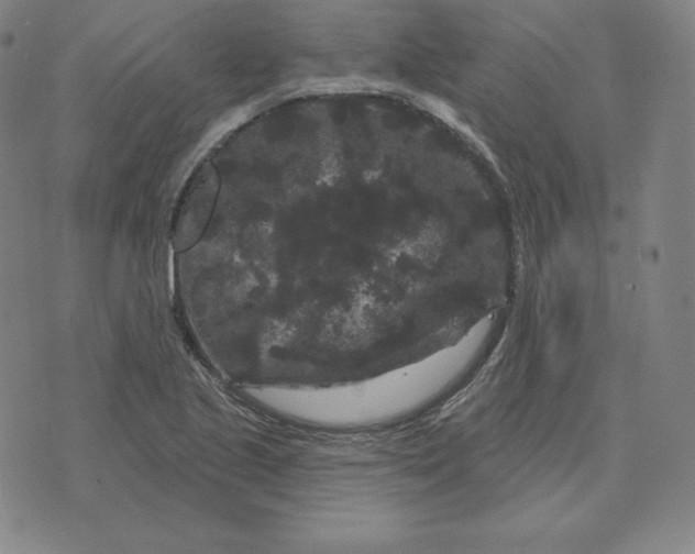 X0000074011221200609111615