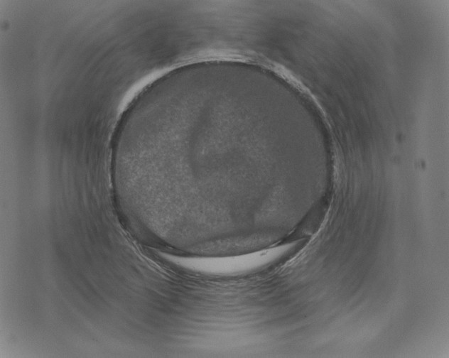 X0000074011222200609111615