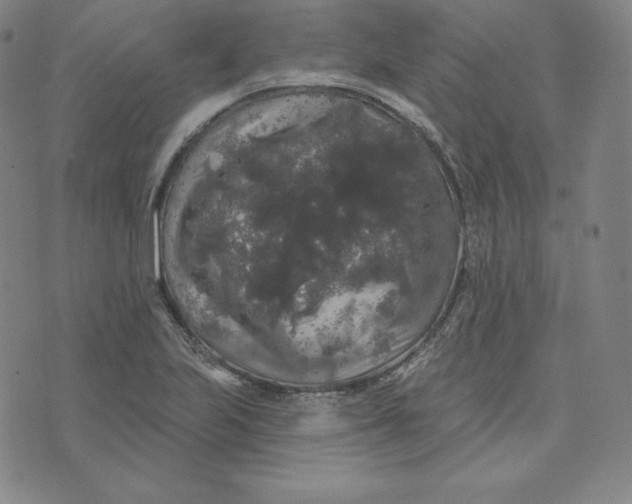 X0000074011223200609111615