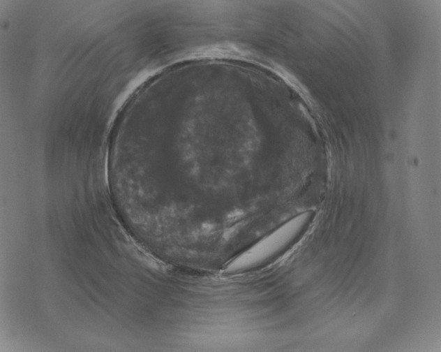 X0000074011224200609111615