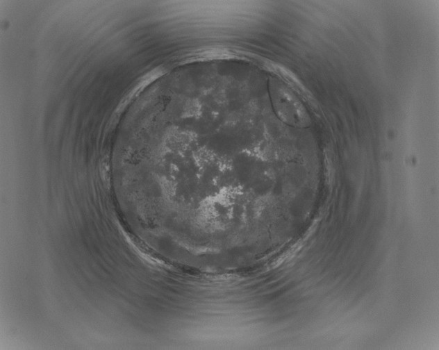 X0000074011225200609111615