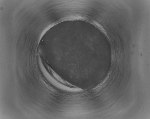 X0000074011226200609111615