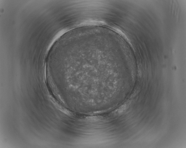 X0000074011227200609111615