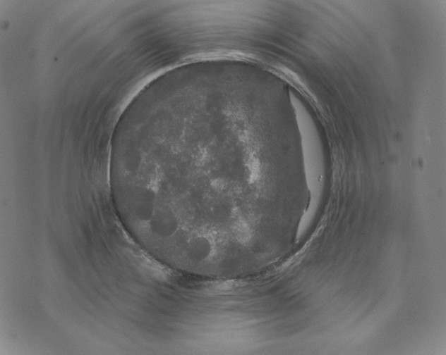 X0000074011228200609111615